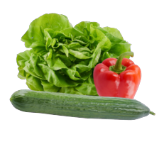 Kropsla, komkommer of paprika rood